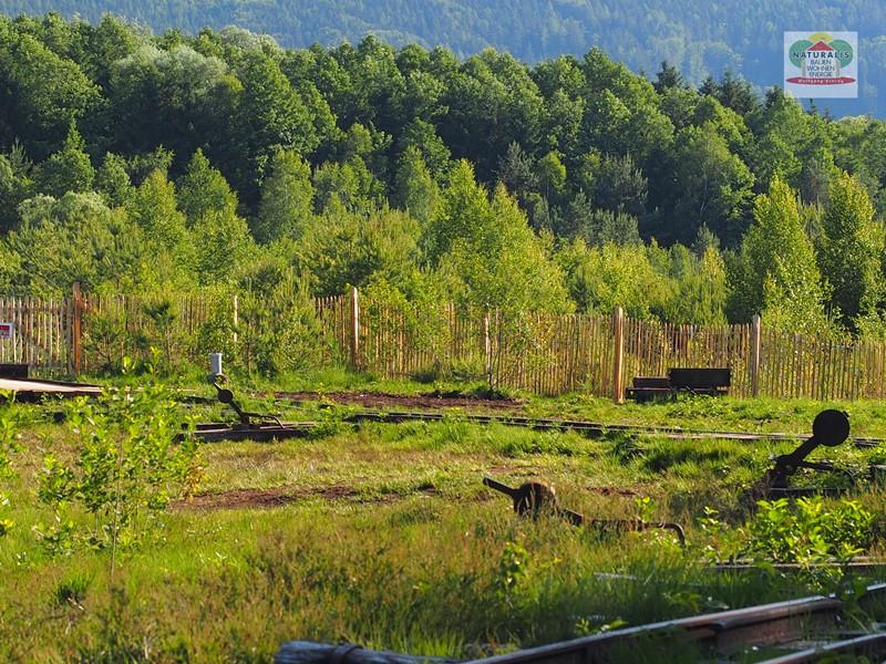 Staketenzaun Edelkastanie 1,5m hoch im Ainringer Moos