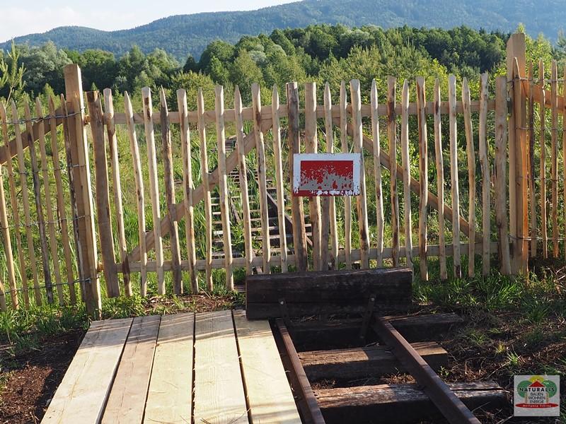 Einfahrtstor Torfbahn Ainringer Moos