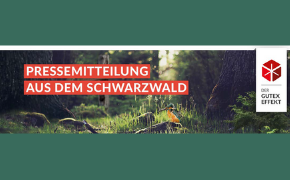 gutex effekt_emas_290auf180.png gutex effekt_emas_290auf180.png