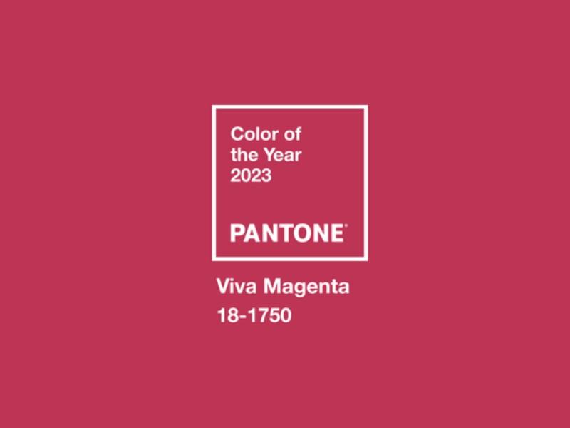 Dr. Hermann Fischer, Gründer AURO AG Trendfarbe-Pantone-2023-Viva-Magenta 800auf600-c-Pantone