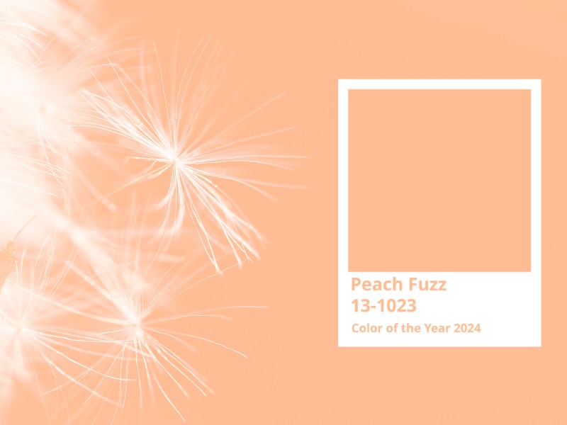 Peach Fuzz ist die Pantone-Trendfarbe 2024, ein softer Pfirsichton