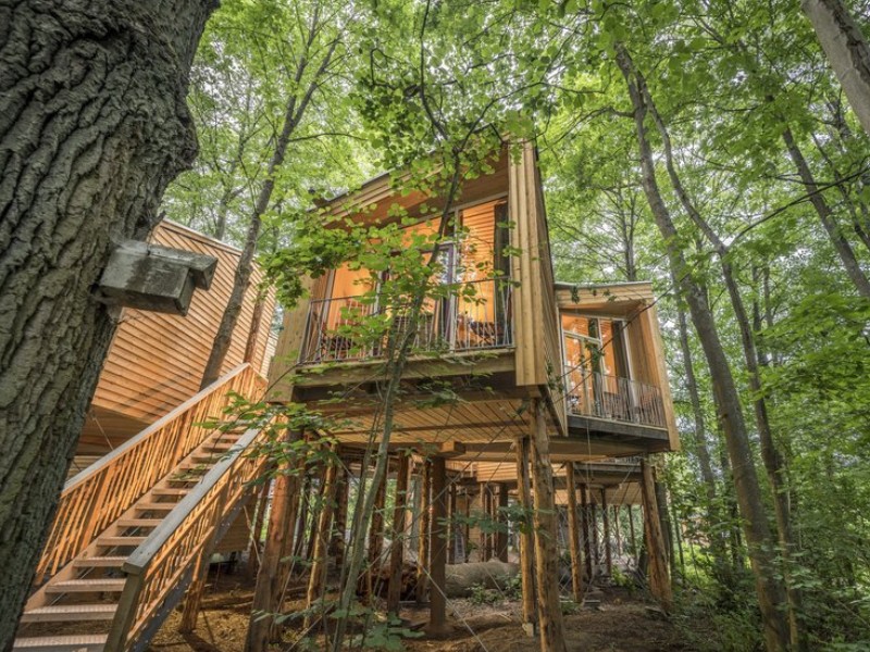 Baumhäuser vom BioHotel Kenners LandLust idyllischim Wald gelegen